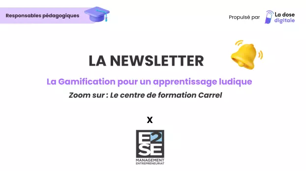 Stratégies de gamification en pédagogie chez l'école E2SE